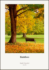 bamboo