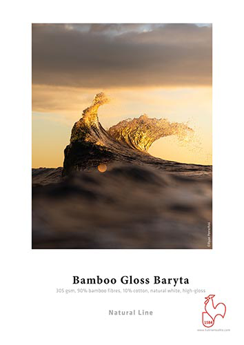 bamboo gloss